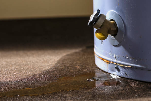 Best Water damage cleanup near me  in Ellicott City, MD