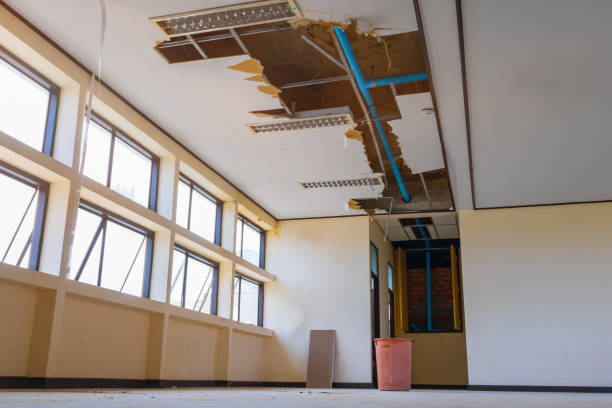 Best Flooded house restoration  in Ellicott City, MD