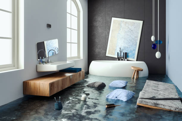 Best Sewage cleanup and water damage restoration  in Ellicott City, MD