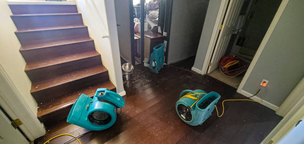  Ellicott City, MD Water damage restoration Pros