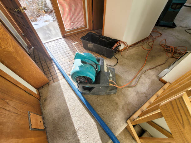 Best Flood damage cleanup  in Ellicott City, MD