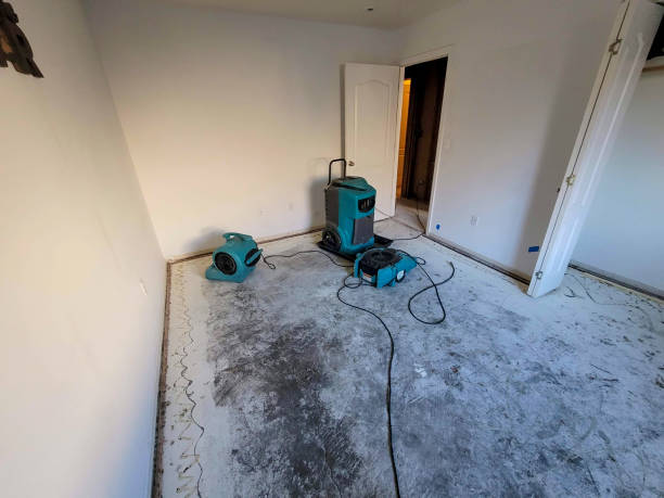 Best 24/7 water damage repair  in Ellicott City, MD