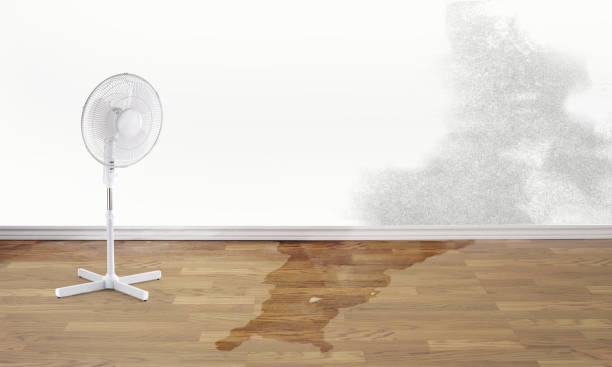 Best Water damage restoration near me  in Ellicott City, MD