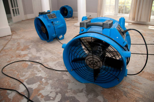 Best Carpet water damage restoration  in Ellicott City, MD