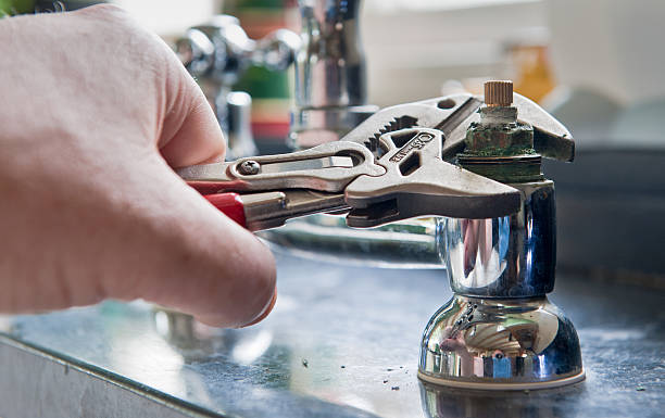 Best Local water damage restoration  in Ellicott City, MD