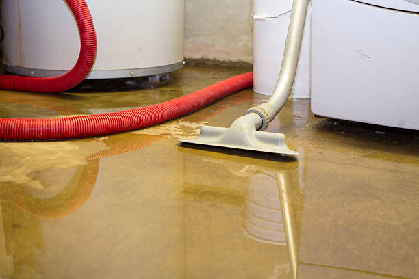 Best Water damage restoration cost  in Ellicott City, MD