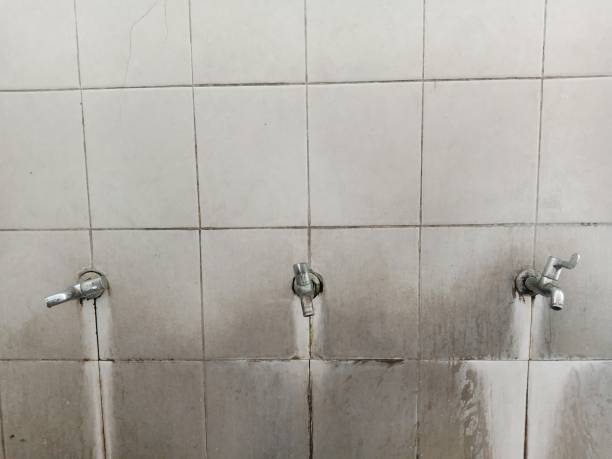 Best Fire Damage Restoration  in Ellicott City, MD