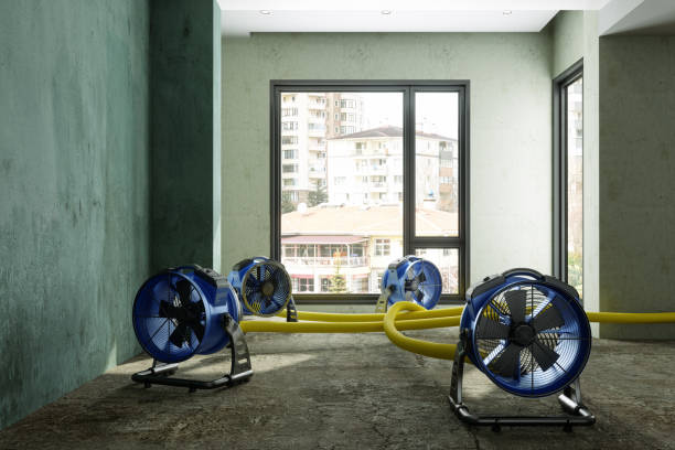 Best Water damage repair service  in Ellicott City, MD